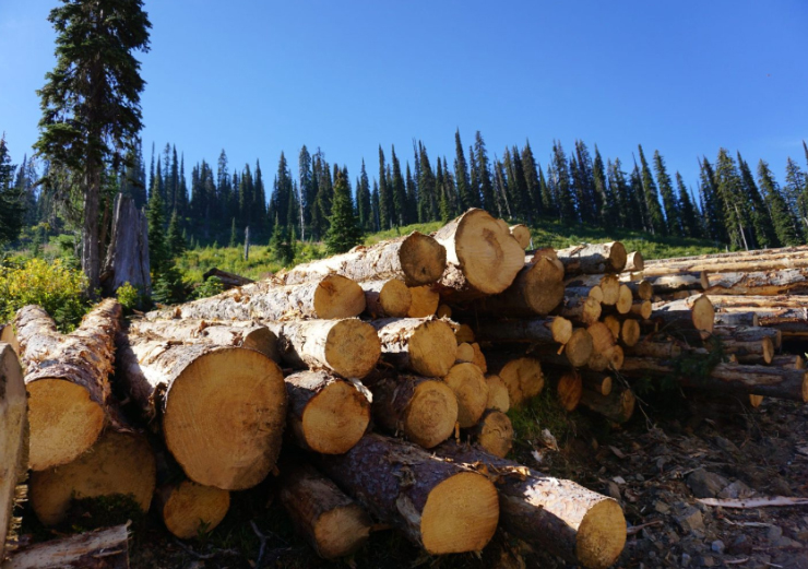 Forestry
